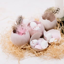 Are eggshells good for bonsai