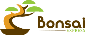 Bonsai-Express.com
