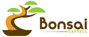 Bonsai-Express.com