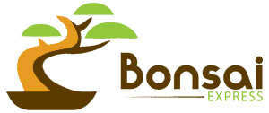 Bonsai-Express.com